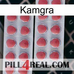 Kamgra 19